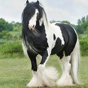 Deborah Lund's photo