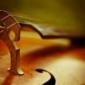 Chris Loxley's photo