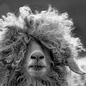 Guido Spanò's photo