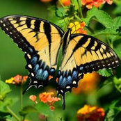 Cindy Menjivar's photo