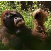 Jesse Blanton's photo