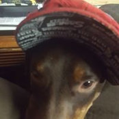 Randy Kelso's photo