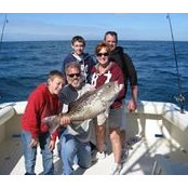 Amy Grisham's photo