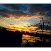 Foto von Wanda Woznik