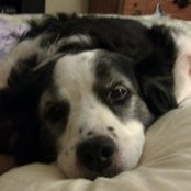 Trent Puppyfart's photo