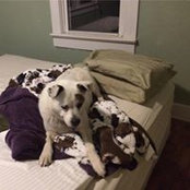Patricia Gowin's photo