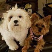 Jason Sepanski's photo