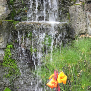 Viviani