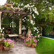 Exterior Ideas