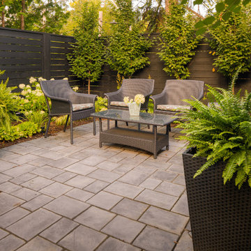 Bloor West Village Backyard Makeover