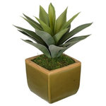 House of Silk Flowers, Inc. - Artificial Frosted Green Succulent in Olive Green Ceramic Vase - This artificial succulent is handcrafted by House of Silk Flowers. This plant will complement any decor, whether in your home or at the office. This professionally-arranged artificial succulent plant is securely potted in an olive green ceramic vase (5" tall x 5 1/2" x 5 1/2"). It is arranged for 360-degree viewing. The overall dimensions are measured leaf tip to leaf tip, bottom of planter to tallest leaf tip: 12" tall x 9" diameter. Measurements are approximate, and will be determined by your final shaping of the plant upon unpacking it. No arranging is necessary, only minor shaping, with the way in which we package and ship our products. This item is only recommended for indoor use.