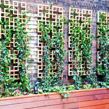 Front Deck