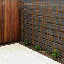 Landscape Ideas