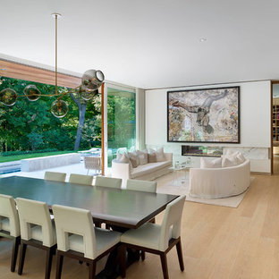 Imagen de salón para visitas abierto, moderno, grande, sin televisor, con paredes blancas, suelo de madera clara, chimenea lineal y marco de chimenea de piedra