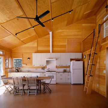 Contemporary Kitchen