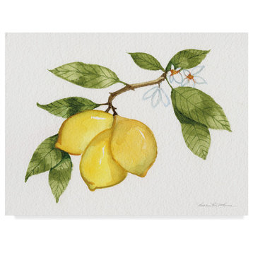 Kathleen Parr Mckenna 'Citrus Garden I' Canvas Art