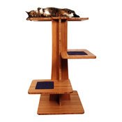 Acacia Cat Tree