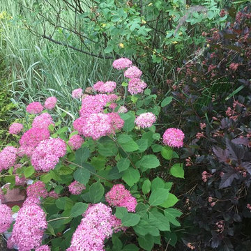 Garden Design