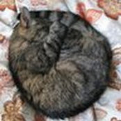 annE Grajeda's photo