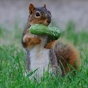 Andrea Foster's photo