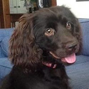 Debbie DeFrank Tipps's photo