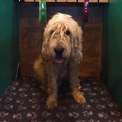 Fran Jones's photo