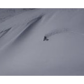 Damon Aitken's photo