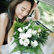 Chris Lau's photo