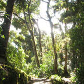 Jessica Miller's photo