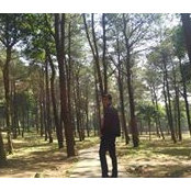 Trường Ngọc's photo