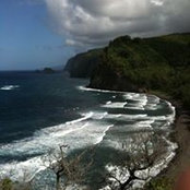 Lynn Wright-Clarke's photo