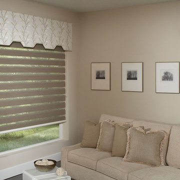 Allure Transitional Shades