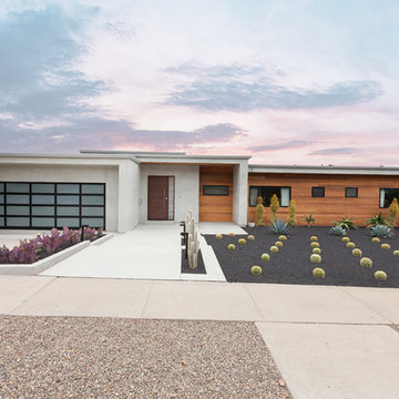 Contemporary Oasis