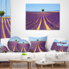 Lonely Uphill Tree in Lavender Field Landscape Wall Throw Pillow, 18"x18"