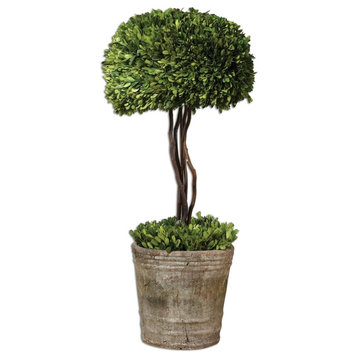 Tree Topiary Preserved Boxwood By Designer Constance Lael-Linyard