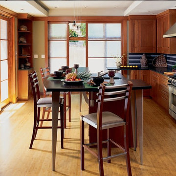 Denver Contemporary Kitchen
