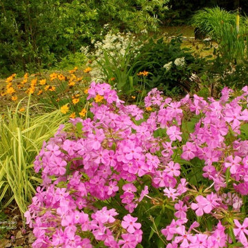 Artist's studio - Eclectic garden