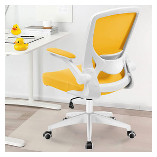 https://st.hzcdn.com/fimgs/ea91aaa4046de45f_3922-w320-h320-b1-p10--contemporary-office-chairs.jpg