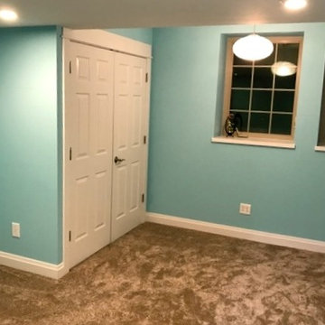 Basement Renovation
