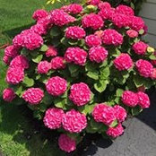 Sue Siskar's photo