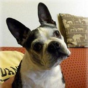 Beth Kotchish's photo
