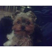 Neva Cooper's photo
