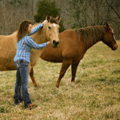 Katie Lindsey's photo