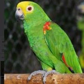 Monique Gingras's photo