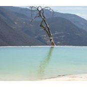 Sergio Santana's photo