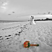 Ashley Thomason's photo