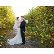 Foto von Lauren Stuart