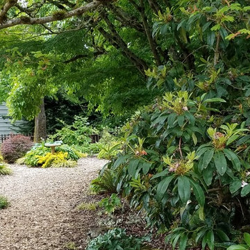 Woodland stroll