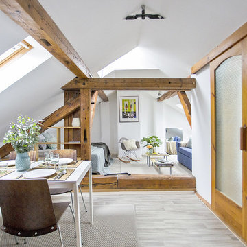 Attic in Kampa, Prague 1