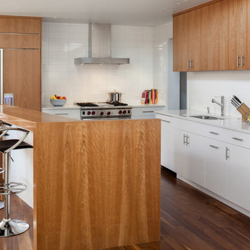 Modern Remodel